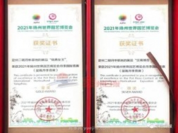 河北定州月季在揚州世園會斬獲大獎，一金一銀兩銅！