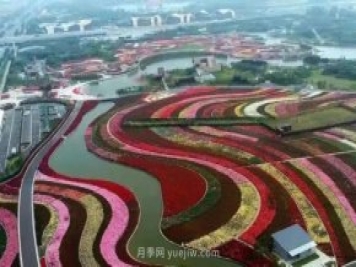 第十二屆南陽(yáng)月季花會(huì)4月29日開幕，花事活動(dòng)提前報(bào)