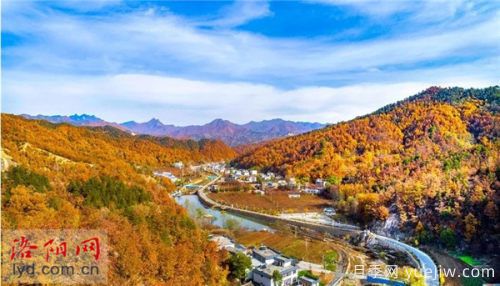洛陽(yáng)欒川：美麗產(chǎn)業(yè)蹚出富民路(圖1)