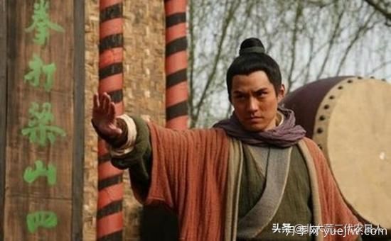 紅玉蘭與白玉蘭如何區(qū)分？(圖7)