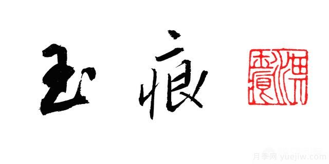 ***香的幾款月季品種是什么？ 什么品種的月季花(圖6)