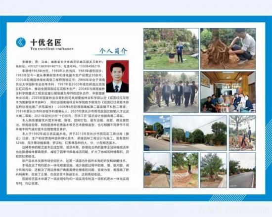 長沙雨花：穩(wěn)定年收入超200萬， 李德桂如何靠苗木致富的(圖1)