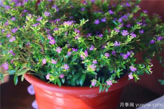 “厚德載物”是哪幾德，你知道嗎？漲知識！(圖1)