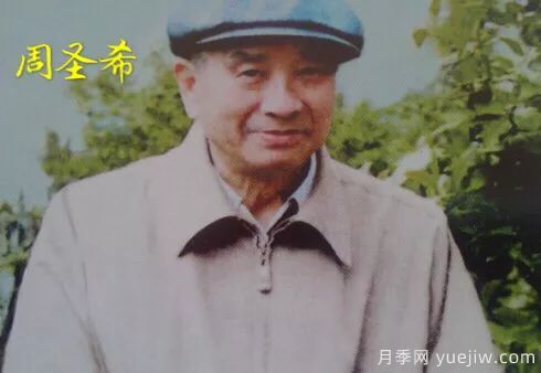 談?wù)勚袊?guó)月季的發(fā)展史，致敬中國(guó)的月季育種家前輩們！(圖25)