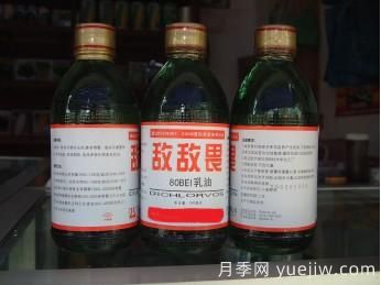 園林養(yǎng)護(hù)常用殺蟲劑知識(圖1)