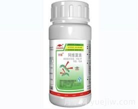 園林養(yǎng)護(hù)常用殺蟲劑知識(圖6)